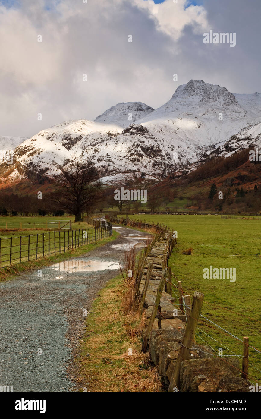 Pozze di acqua in una fattoria la via che conduce verso la coperta di neve Langdale Pikes. Foto Stock