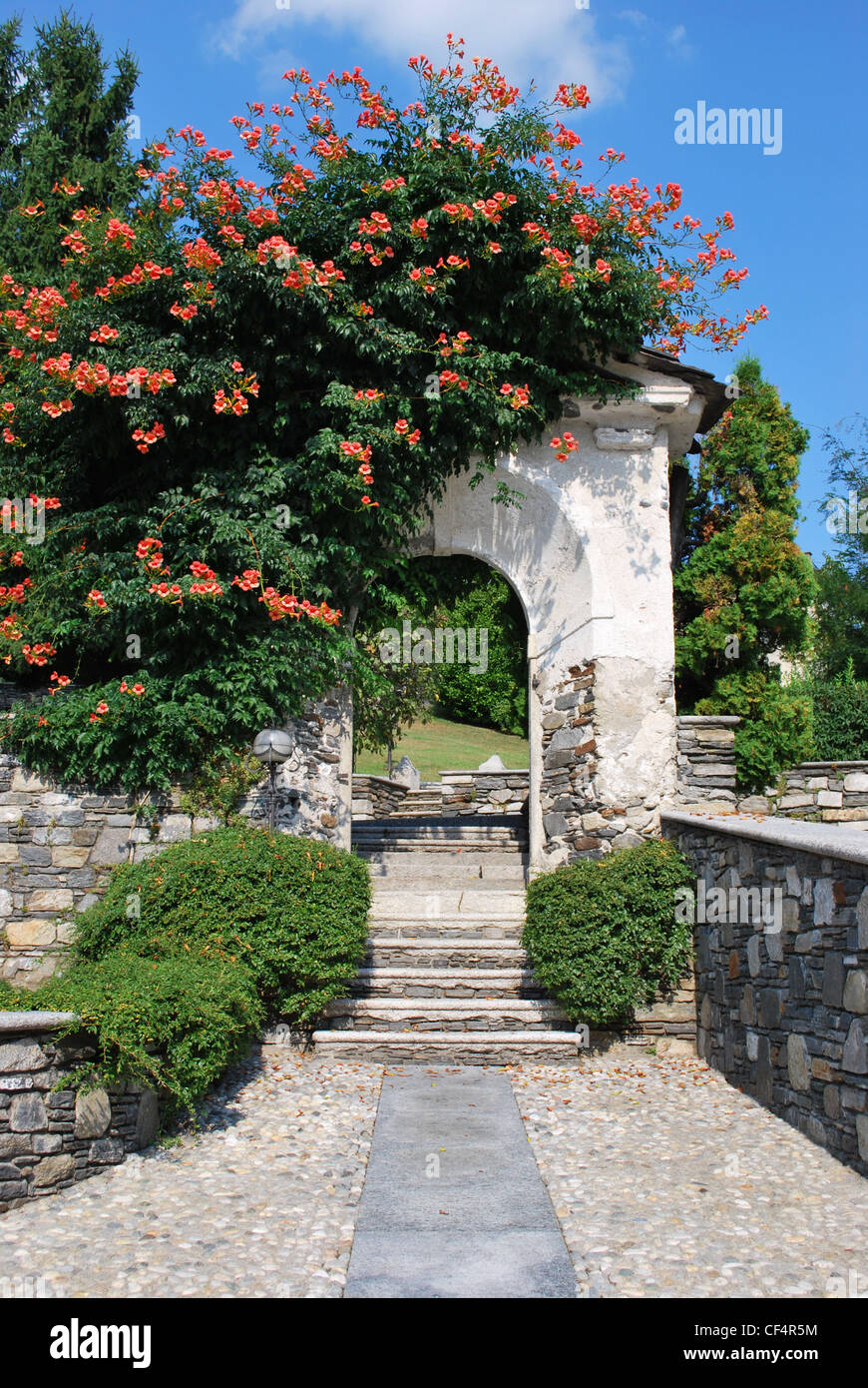 Antico arco in pietra ricoperta di fiori in primavera Foto Stock