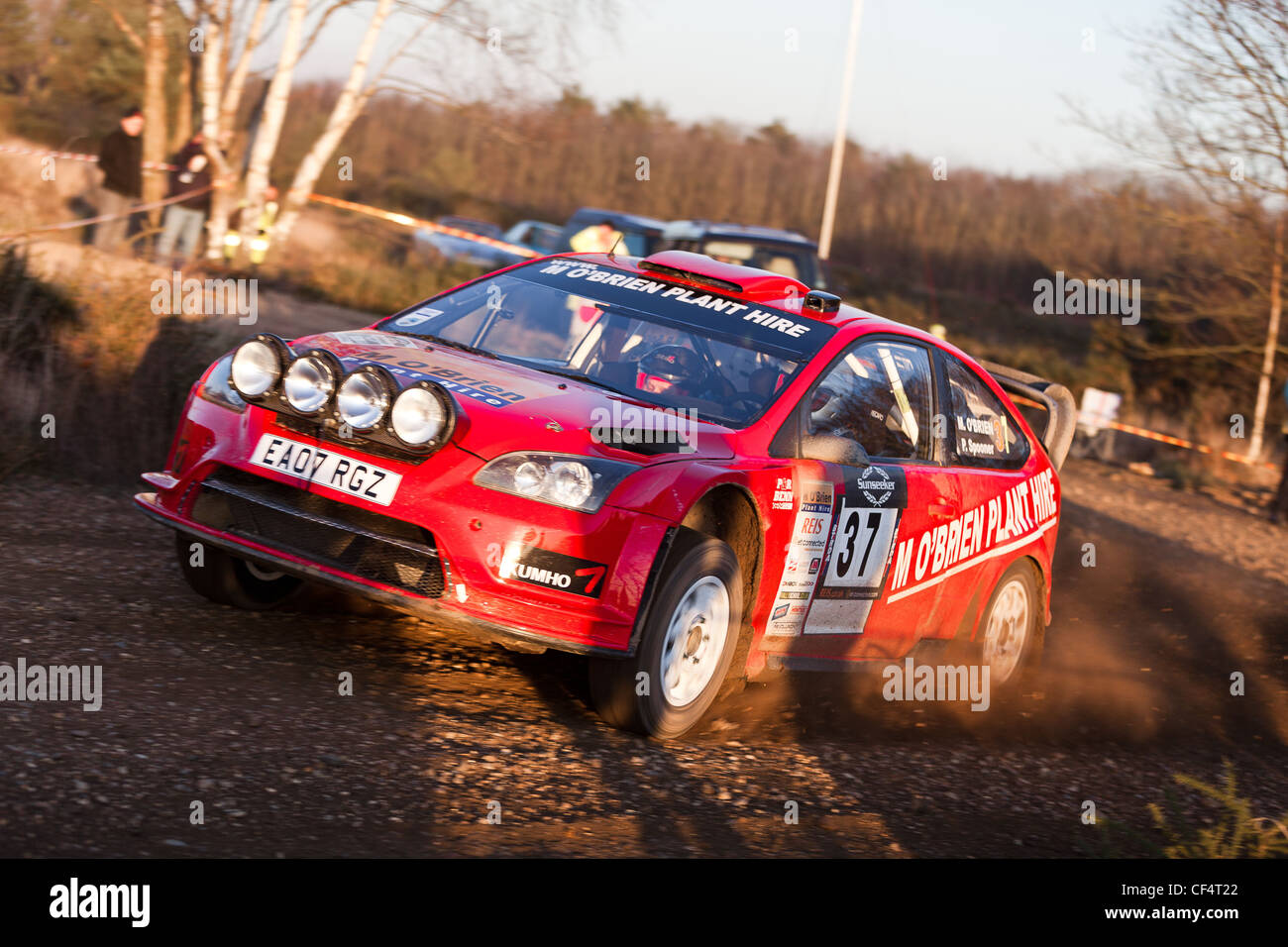 Michael O'Brien acceso il suo ex-works Focus WRC attraverso il Ferndown prova del rally Sunseeker 2012. Foto Stock