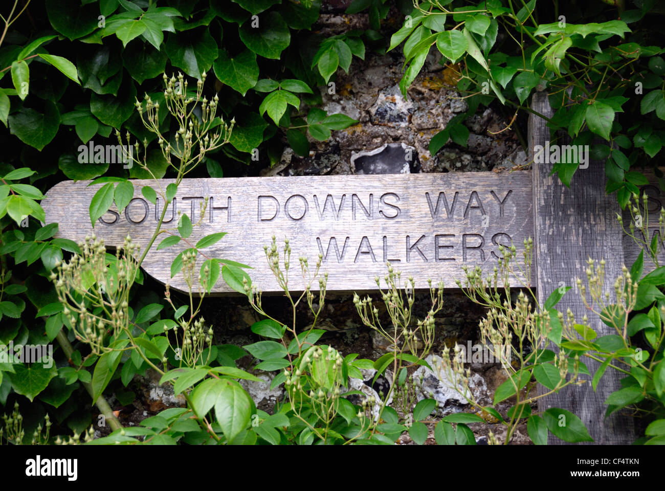 South Downs modo Walkers signpost. Foto Stock