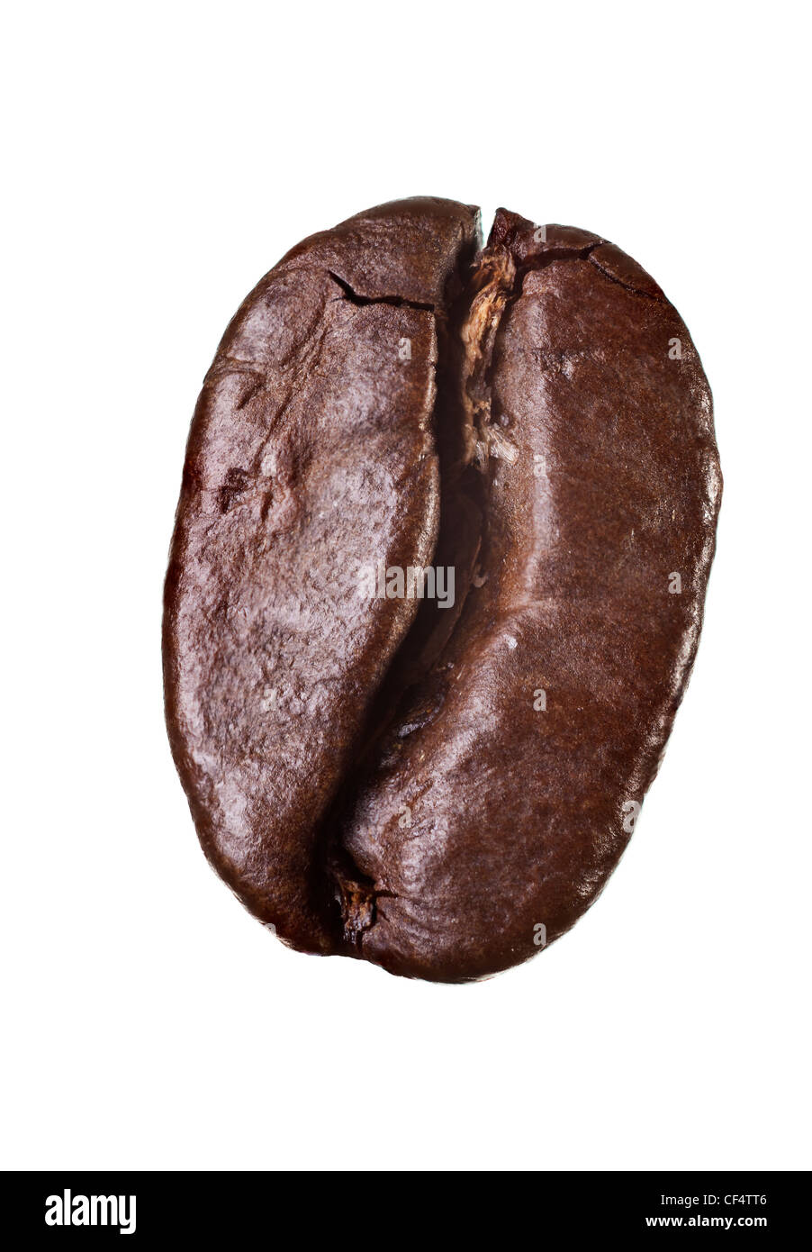 Chicco di caffè isolato su sfondo bianco Foto Stock