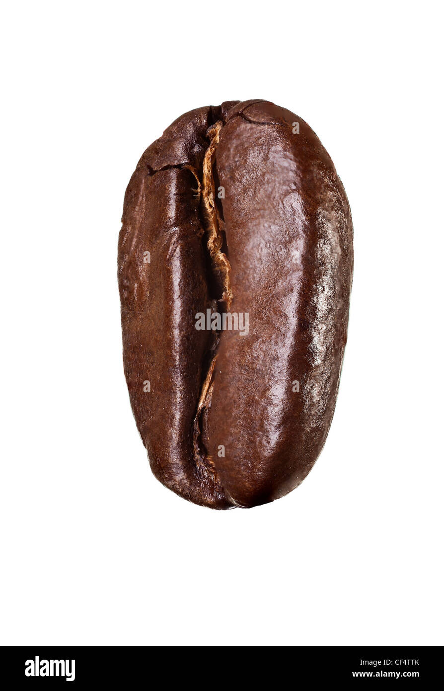 Chicco di caffè isolato su sfondo bianco Foto Stock