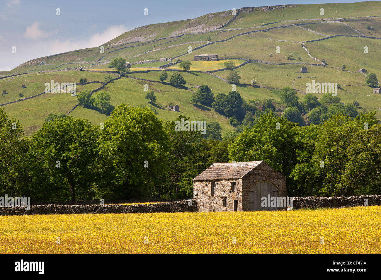 Un fienile in un selvaggio fiore prato vicino Muker, Swaledale, Yorkshire Dales National Park. Foto Stock