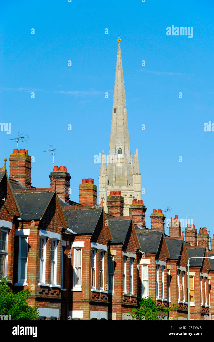 La guglia di Norwich Cathedral affacciato su una fila di case a schiera. Foto Stock