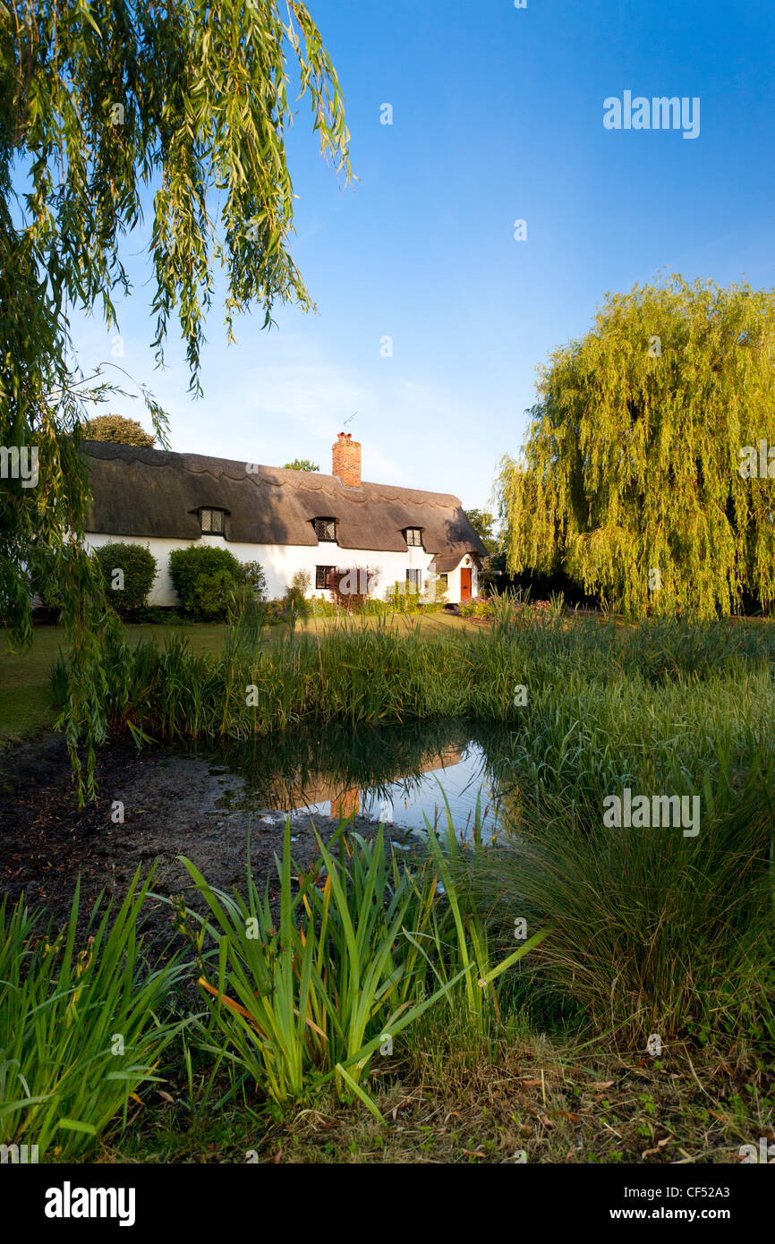 Un cottage con tetto di paglia in Fornham Tutti i Santi villaggio nel Suffolk, Regno Unito Foto Stock
