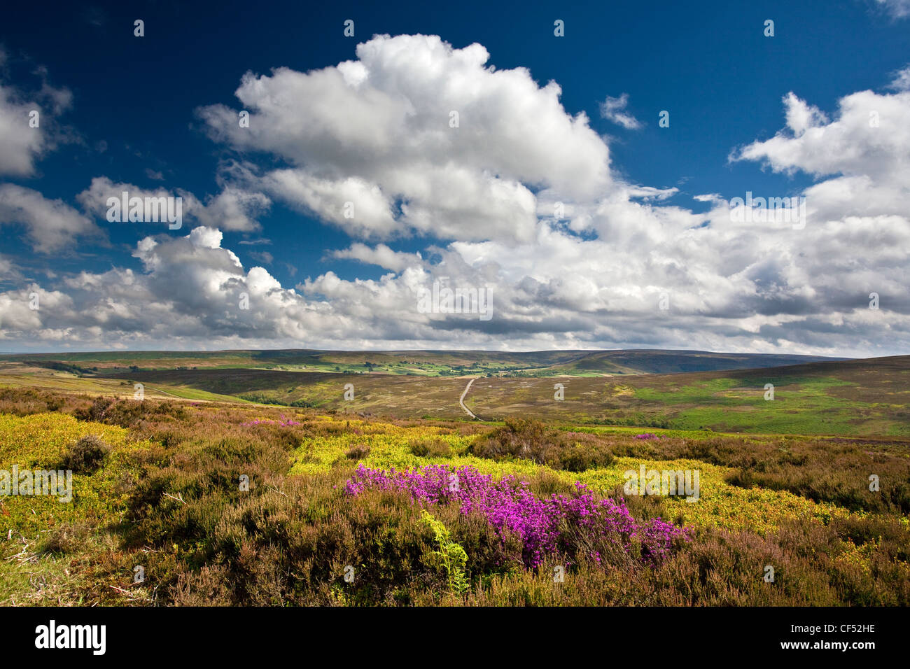 Westerdale Moor da Kildale Moor nel North York Moors National Park. Foto Stock
