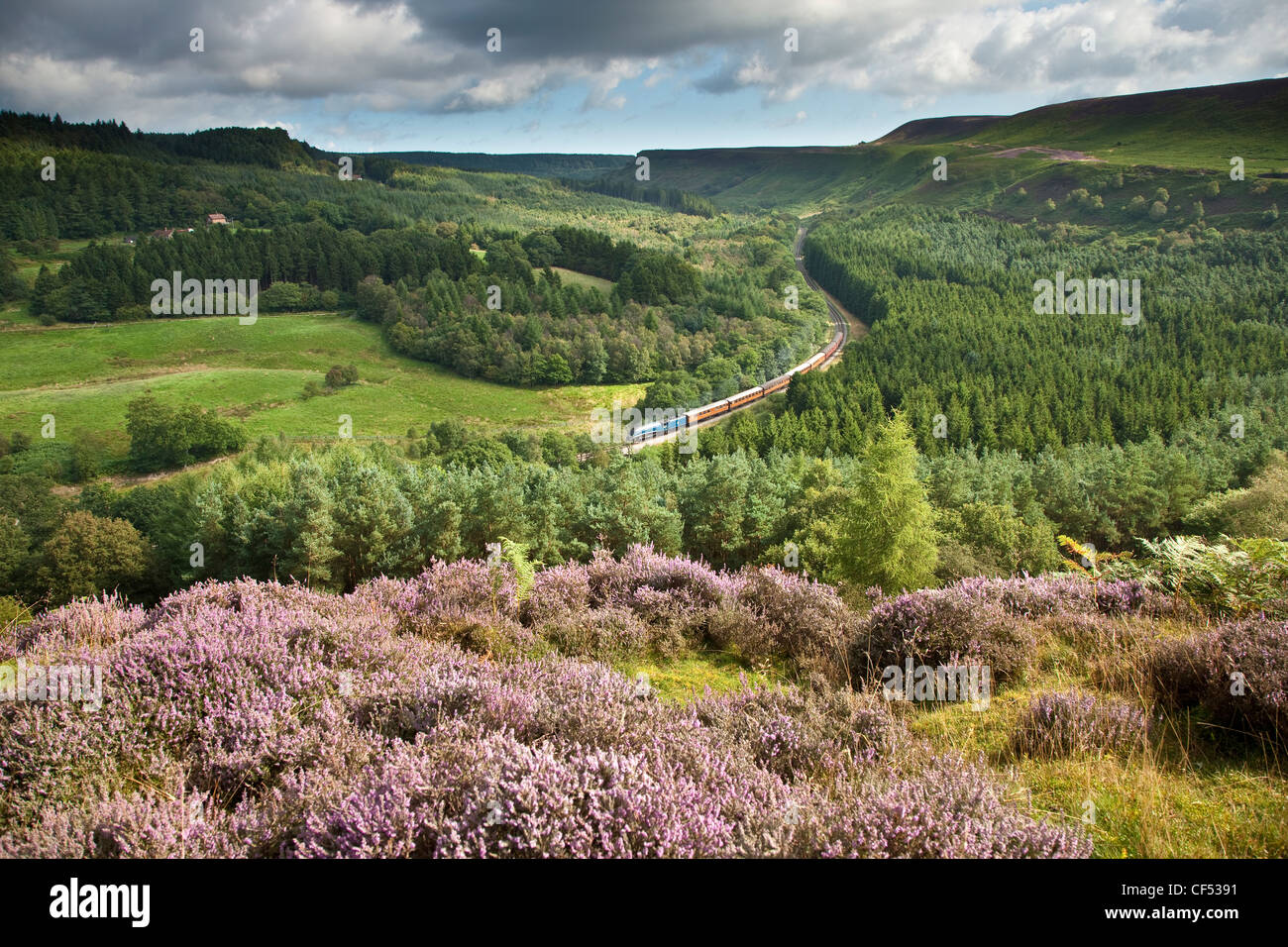 Una locomotiva a vapore del North Yorkshire Moors Railway viaggiare attraverso Newtondale. Foto Stock