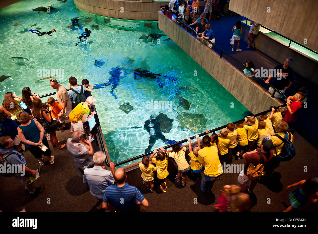 Il National Aquarium, il Porto Interno di Baltimore, Maryland, Stati Uniti d'America Foto Stock