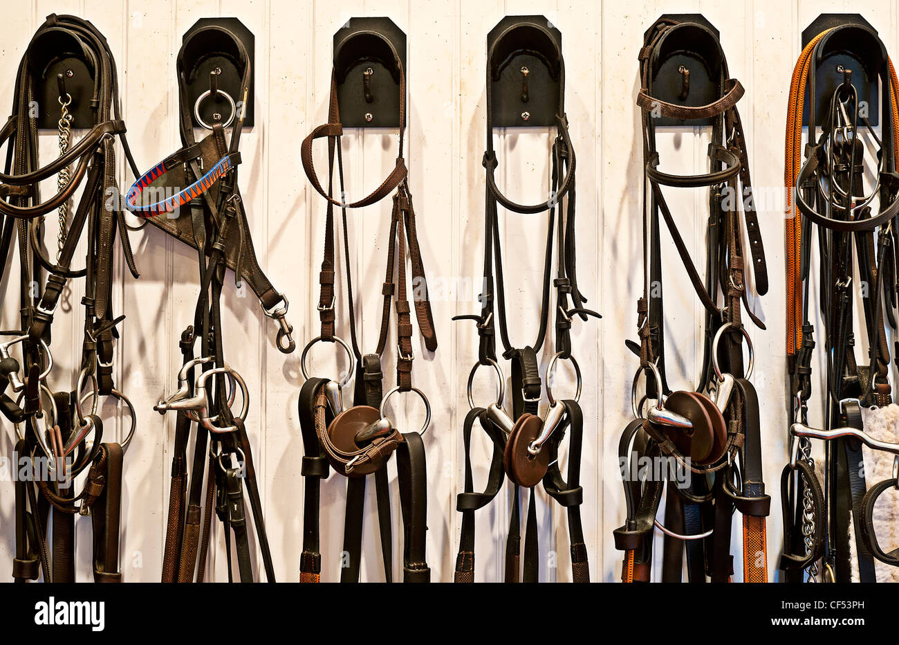 Ingranaggio di equitazione in una stalla sala tac. Foto Stock