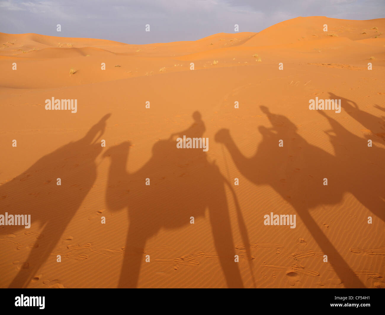 Il Nord Africa, Marocco, Merzouga, le ombre di una carovana con i cammelli e turisti sulla sabbia Foto Stock