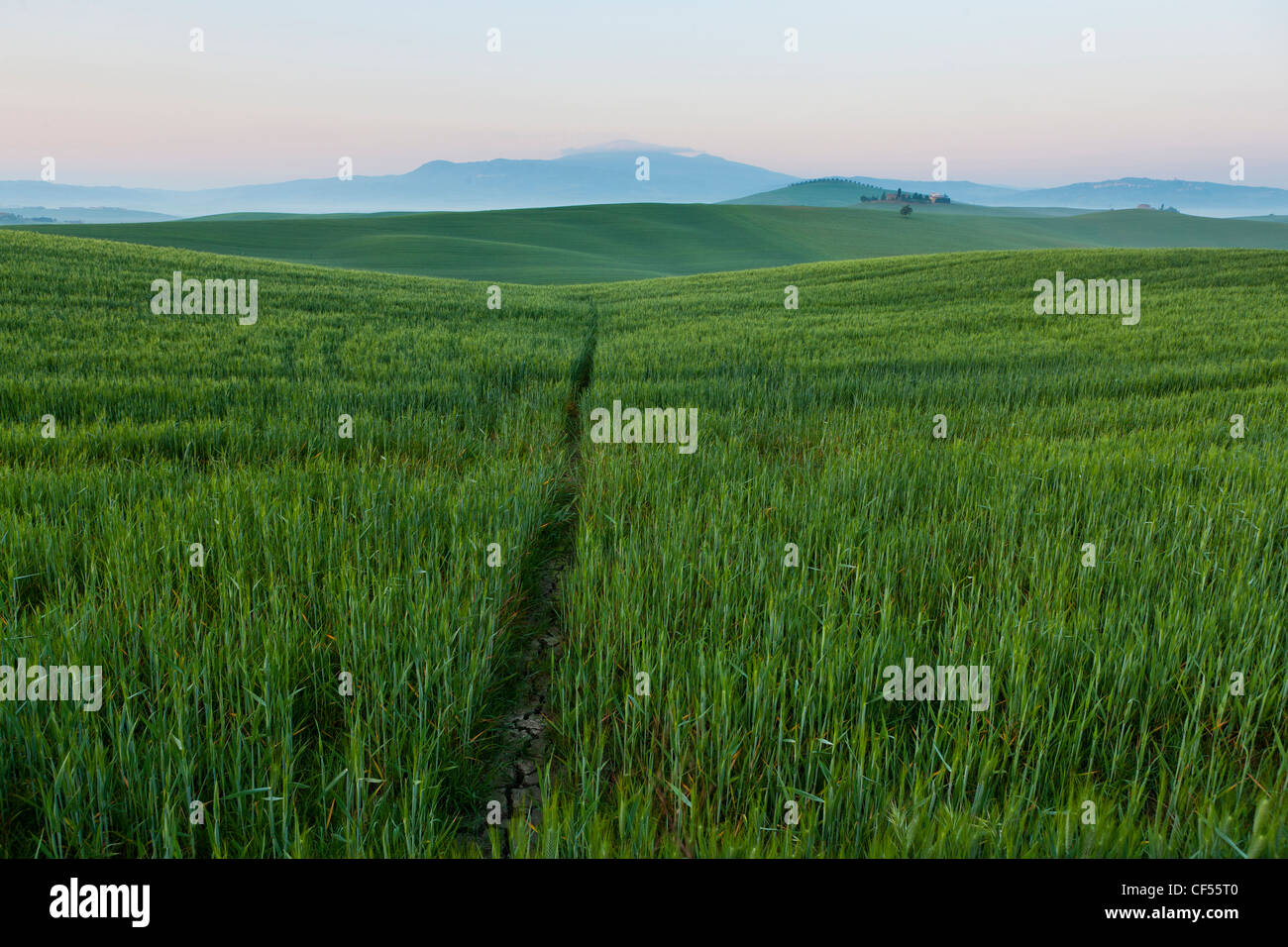 L'Italia, Toscana, Val d'Orcia, vista del paesaggio di foschia mattutina Foto Stock