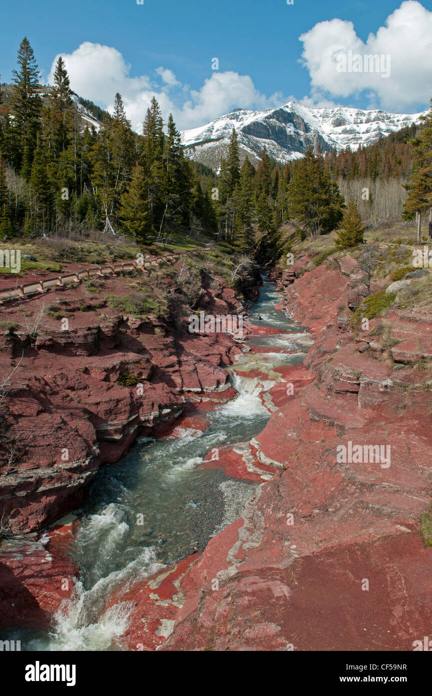 Canada, Alberta, il Red Rock Canyon al Parco Nazionale dei laghi di Waterton. Acqua di disgelo fiume da un ghiacciaio scorre attraverso il canyon. Foto Stock