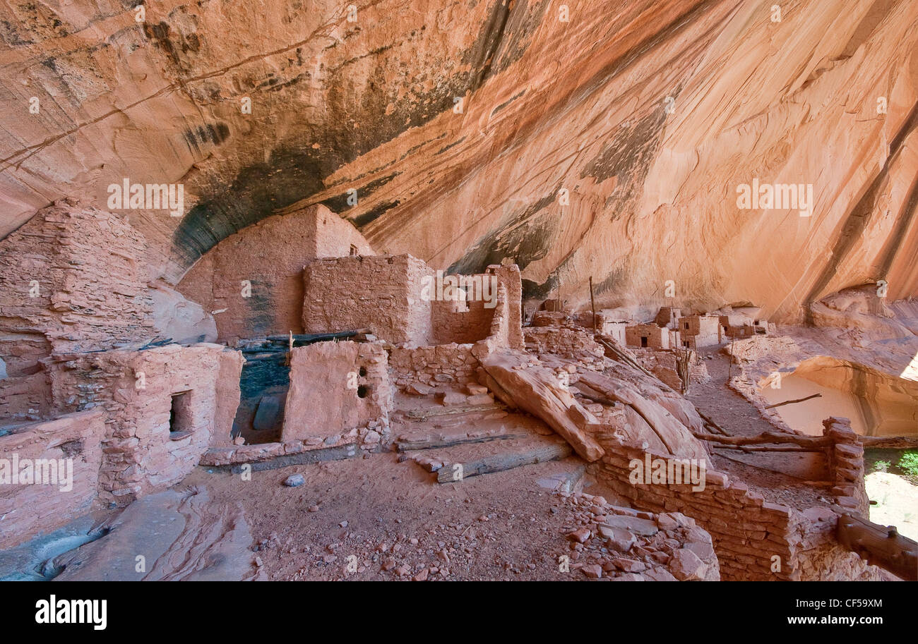 Keet Seel rovine a Navajo National Monument, Shonto altopiano, Arizona, Stati Uniti d'America Foto Stock
