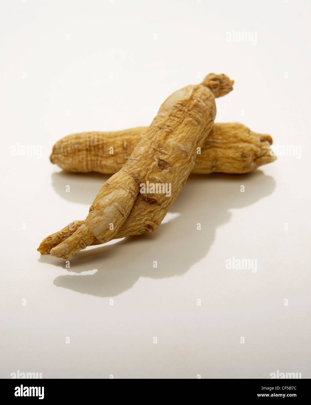 La radice del ginseng su sfondo bianco, close up Foto Stock