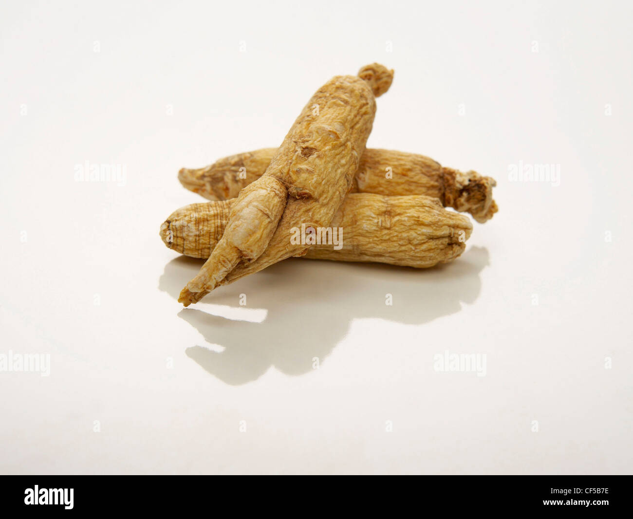 La radice del ginseng su sfondo bianco, close up Foto Stock