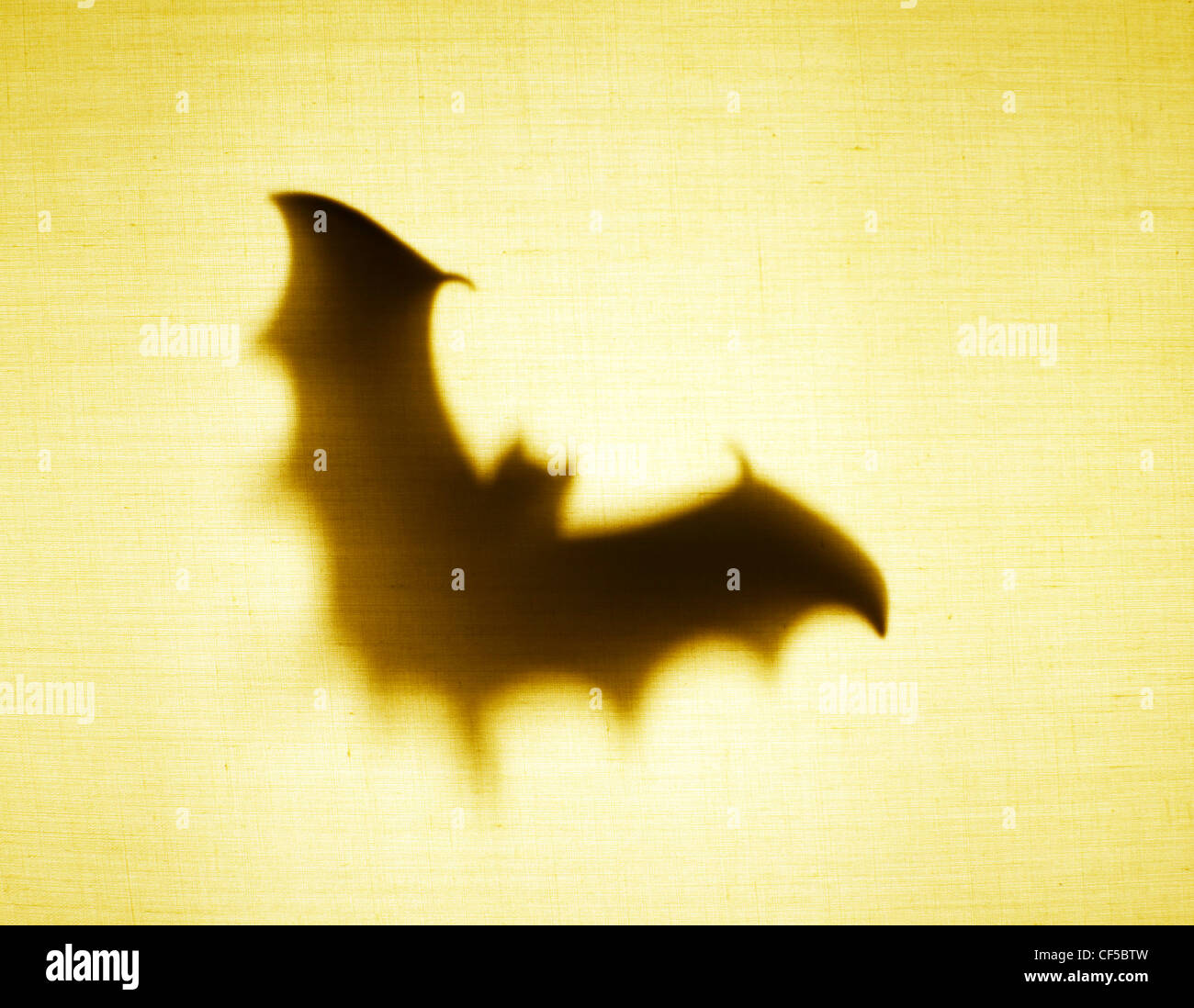 Bat/ombra Silhouette Foto Stock