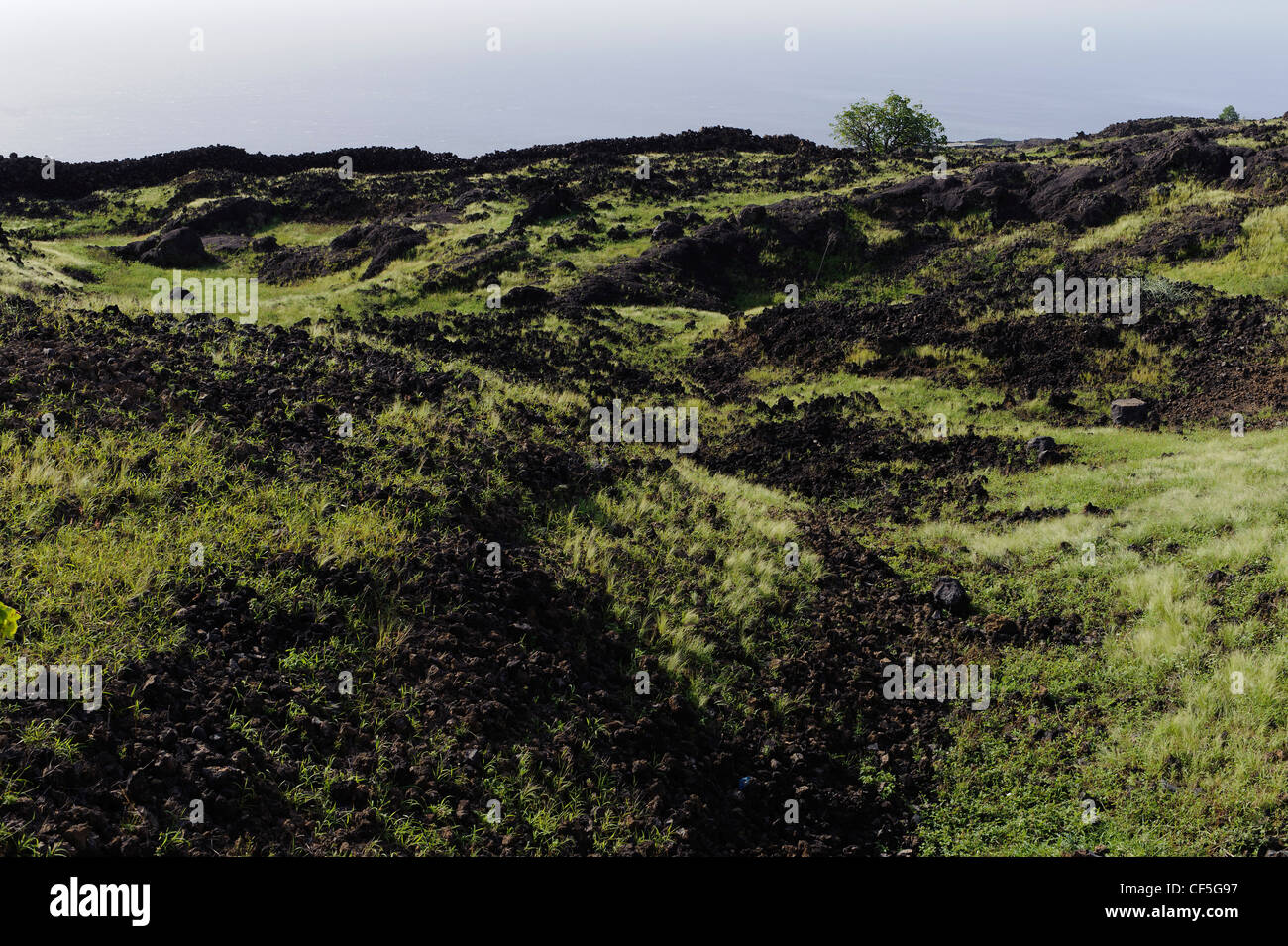 Paesaggi del Sud, isola di Fogo, Isole di Capo Verde, Africa Foto Stock