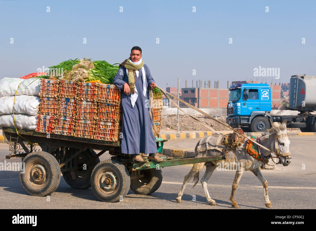 Assiyout Egitto contadina e il suo carrello Foto Stock