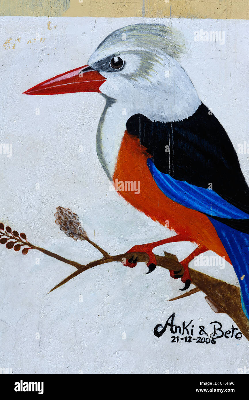 Murale di a testa grigia kingfisher (Halcyon leucocephala) Portela nel cratere Cha das Caldeiras, isola di Fogo, Isole di Capo Verde, Foto Stock
