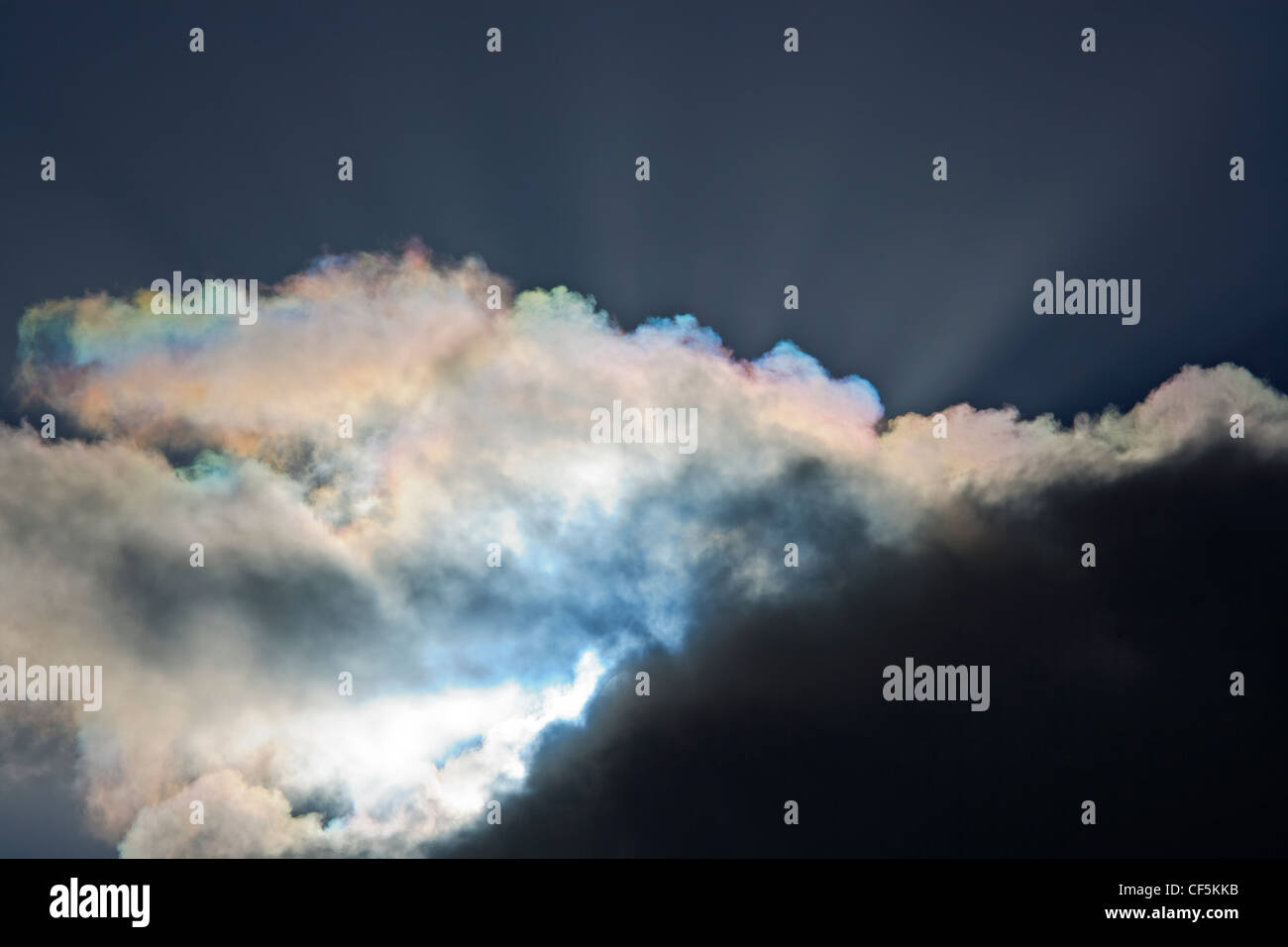 Spiaggia Tramonto a Capo Egmont, Taranaki, Isola del nord, Nuova Zelanda. Foto Stock