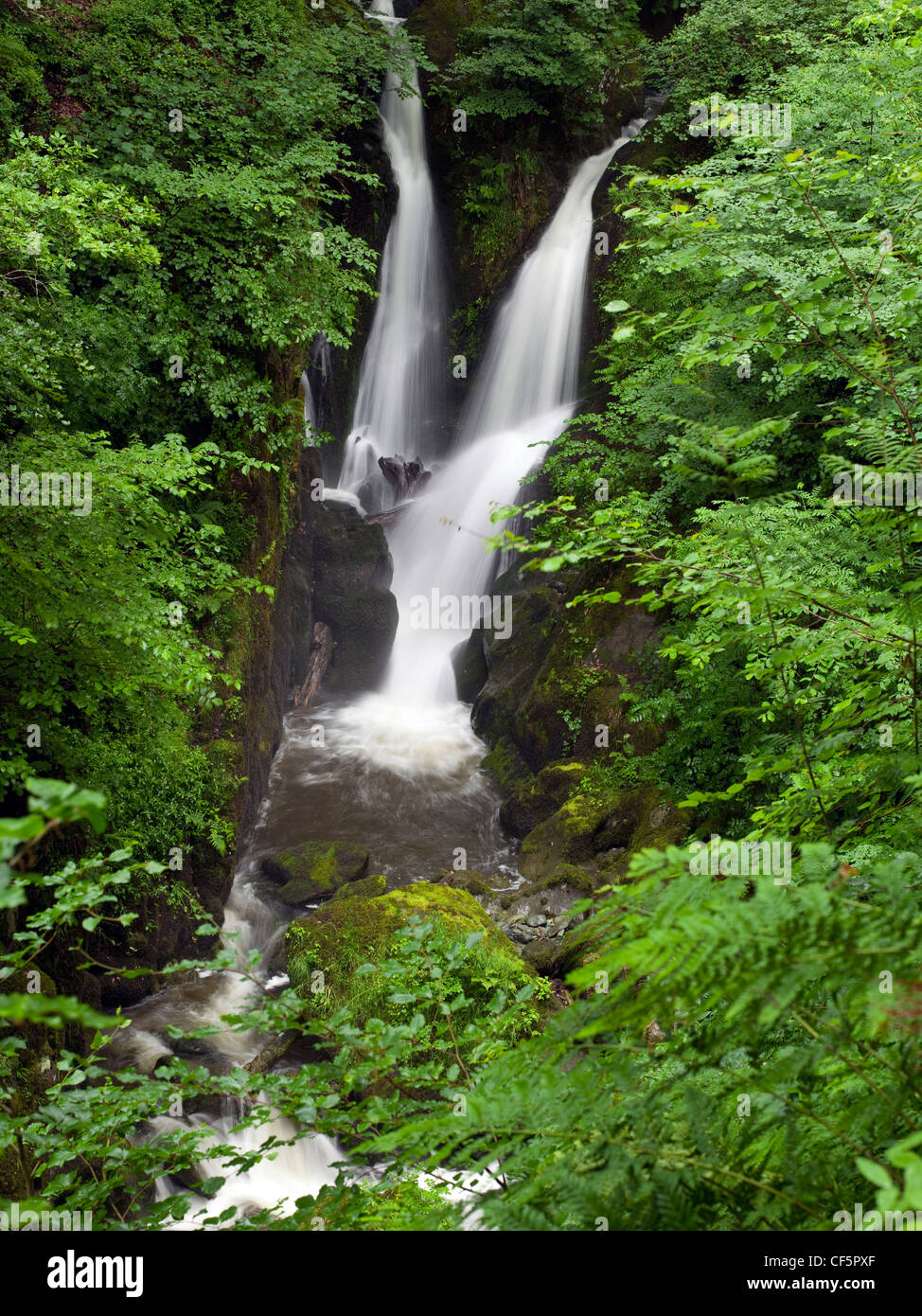 Magazzino Ghyll vigore, una pittoresca cascata nel distretto del lago. Foto Stock