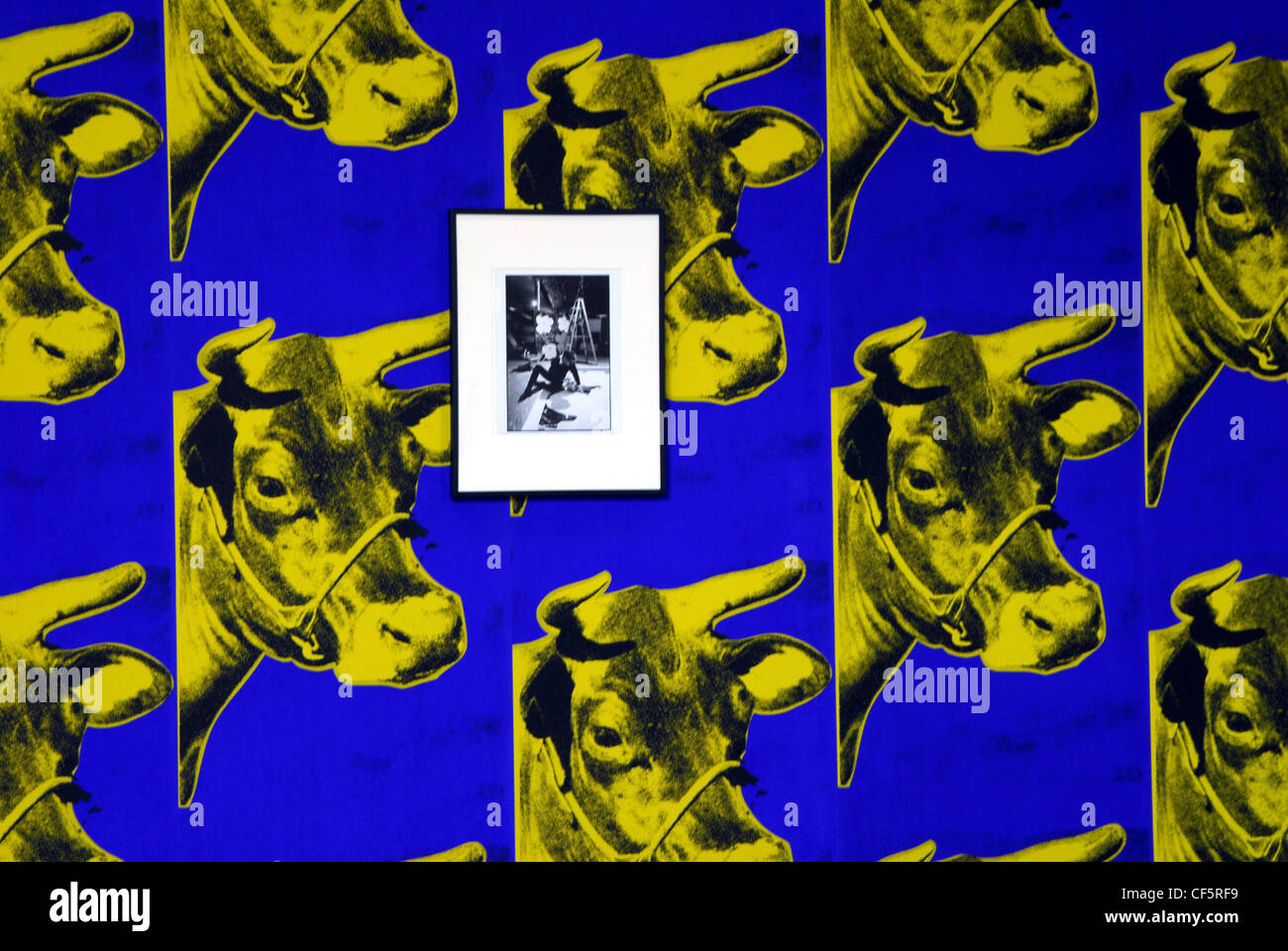 Spazio espositivo presso la Lewis Glucksman Gallery di Cork. Foto Stock