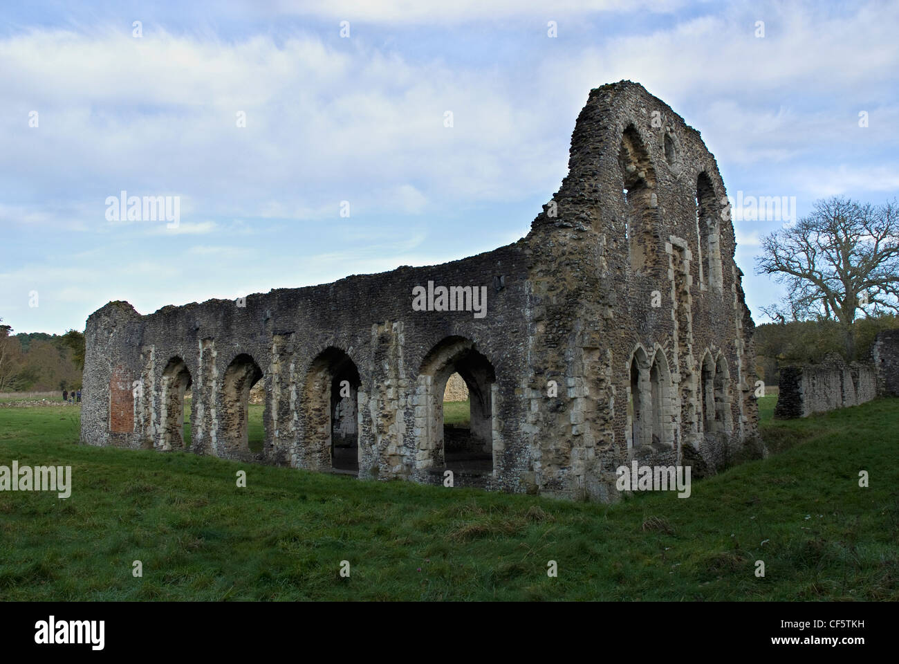 Le rovine della Abbazia di Waverley, la prima abbazia cistercense in Inghilterra, fondata nel 1128 da William Giffard, Vescovo di Winchester. Foto Stock