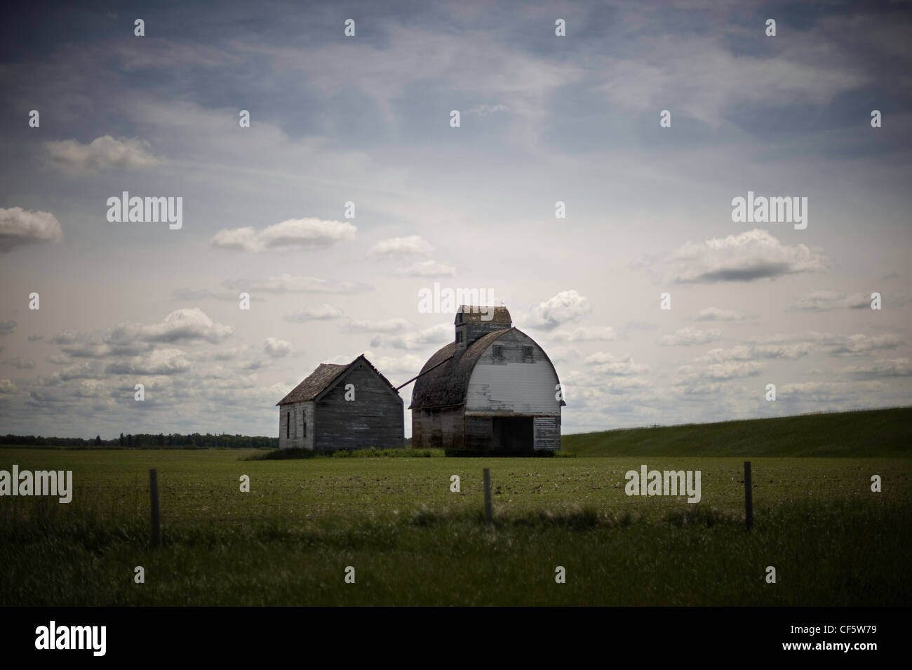 Un vecchio fienile in un campo in Minnesota, Stati Uniti d'America Foto Stock