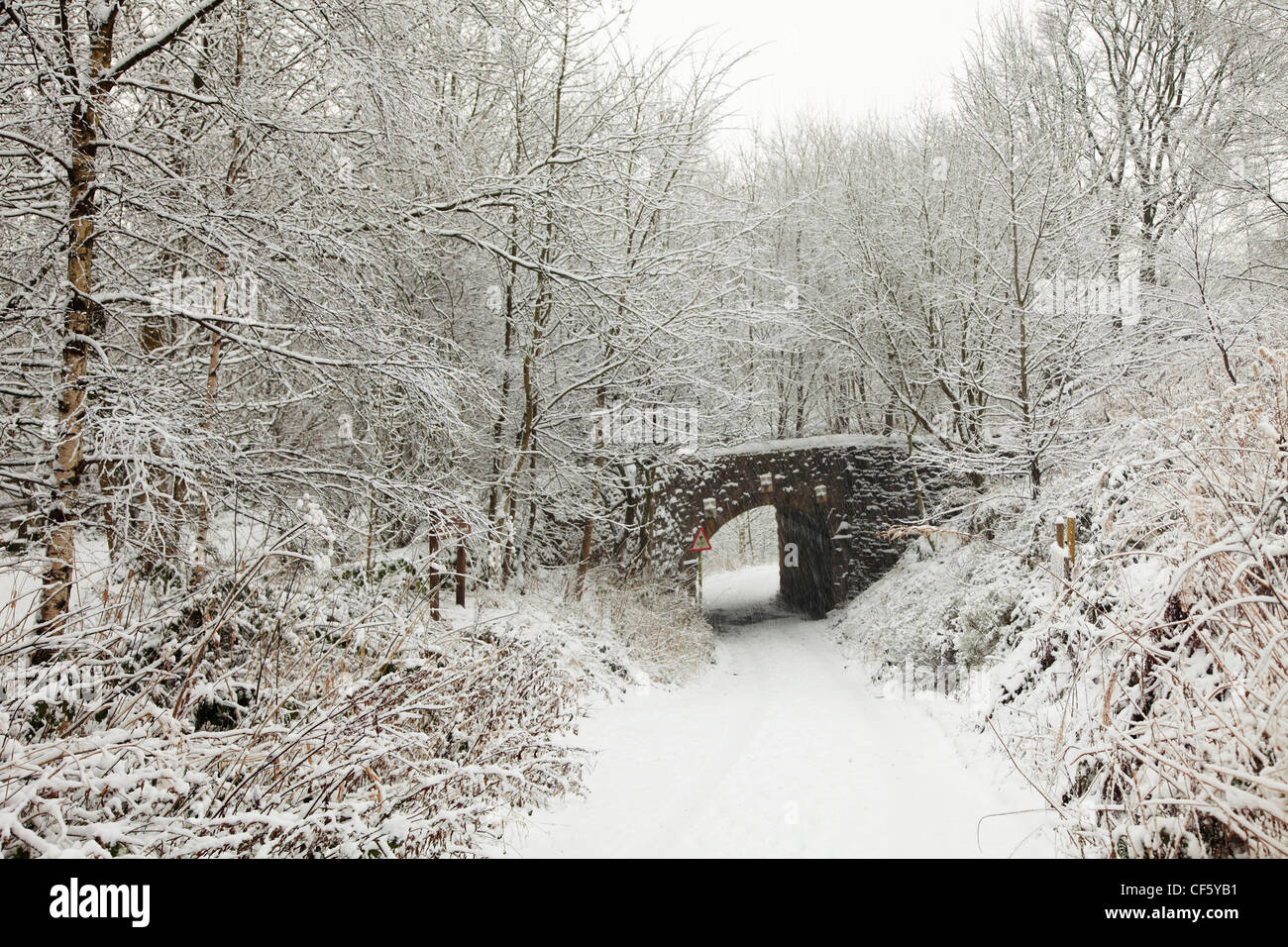 La neve che copre un piccolo ponte che attraversa oltre una corsia attraverso gli alberi. Foto Stock
