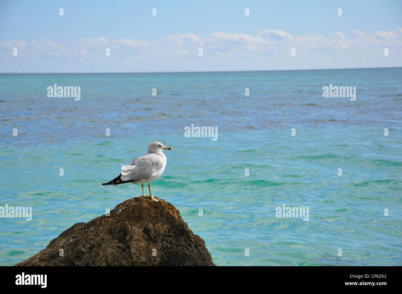 Lucaya beach, Bahamas Foto Stock