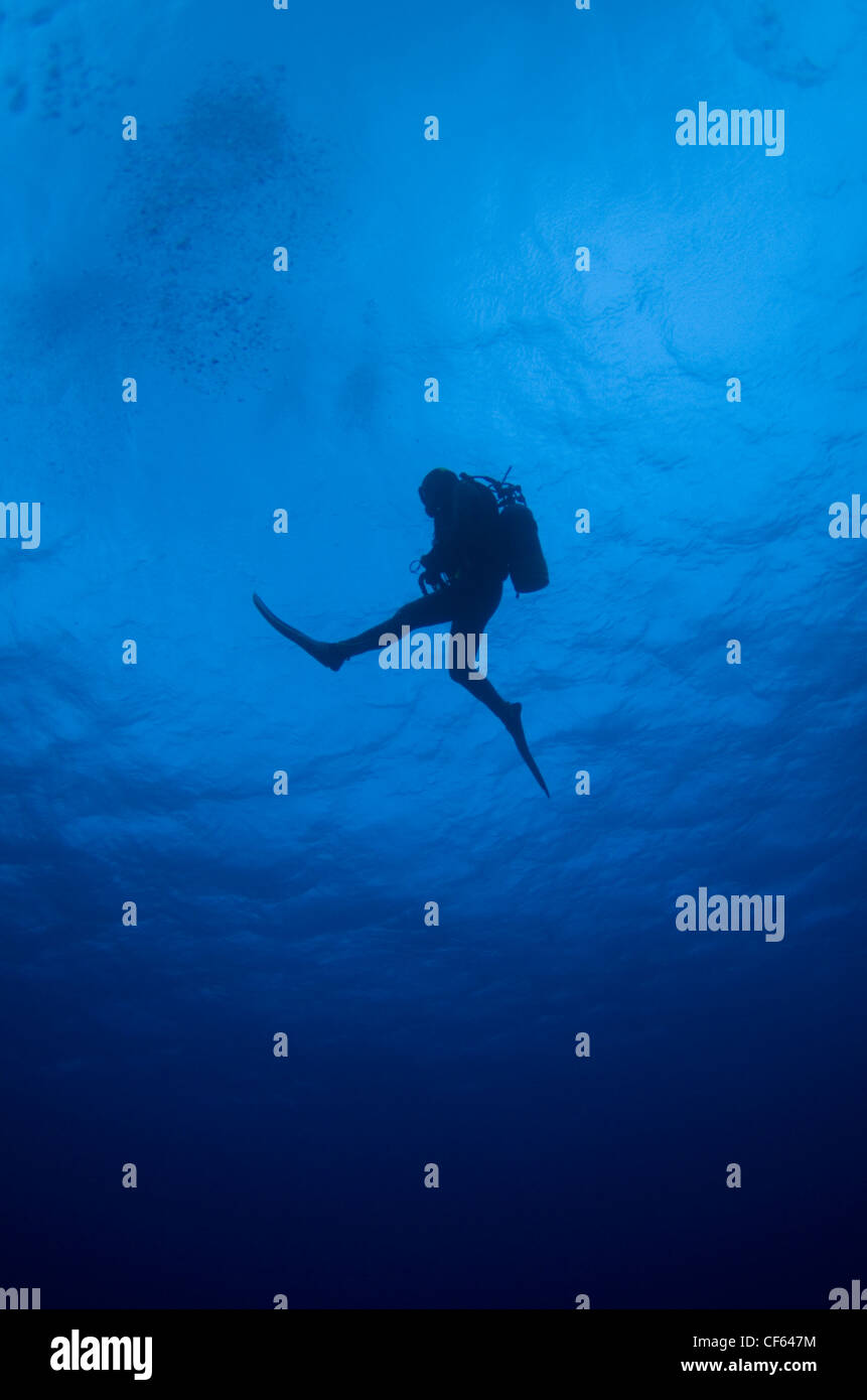 Scuba Diver Silhouette Ocean Foto Stock