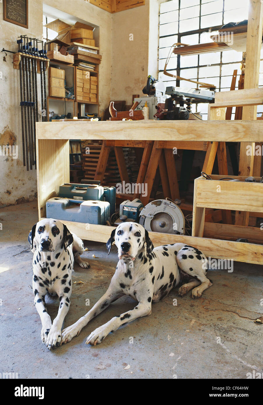 Case Reali :Townhouse in Bo Kaap Cabinet maker, filmset progettista e costruttore del Morne Van Stadens work shop area di lavoro carpentieri Foto Stock