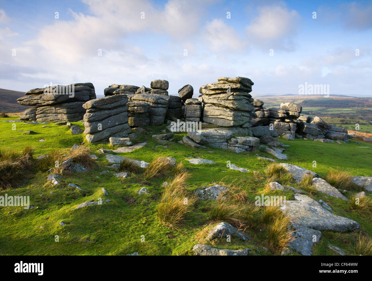 Combestone Tor affacciato sulla valle del Dart nel Parco Nazionale di Dartmoor. Foto Stock