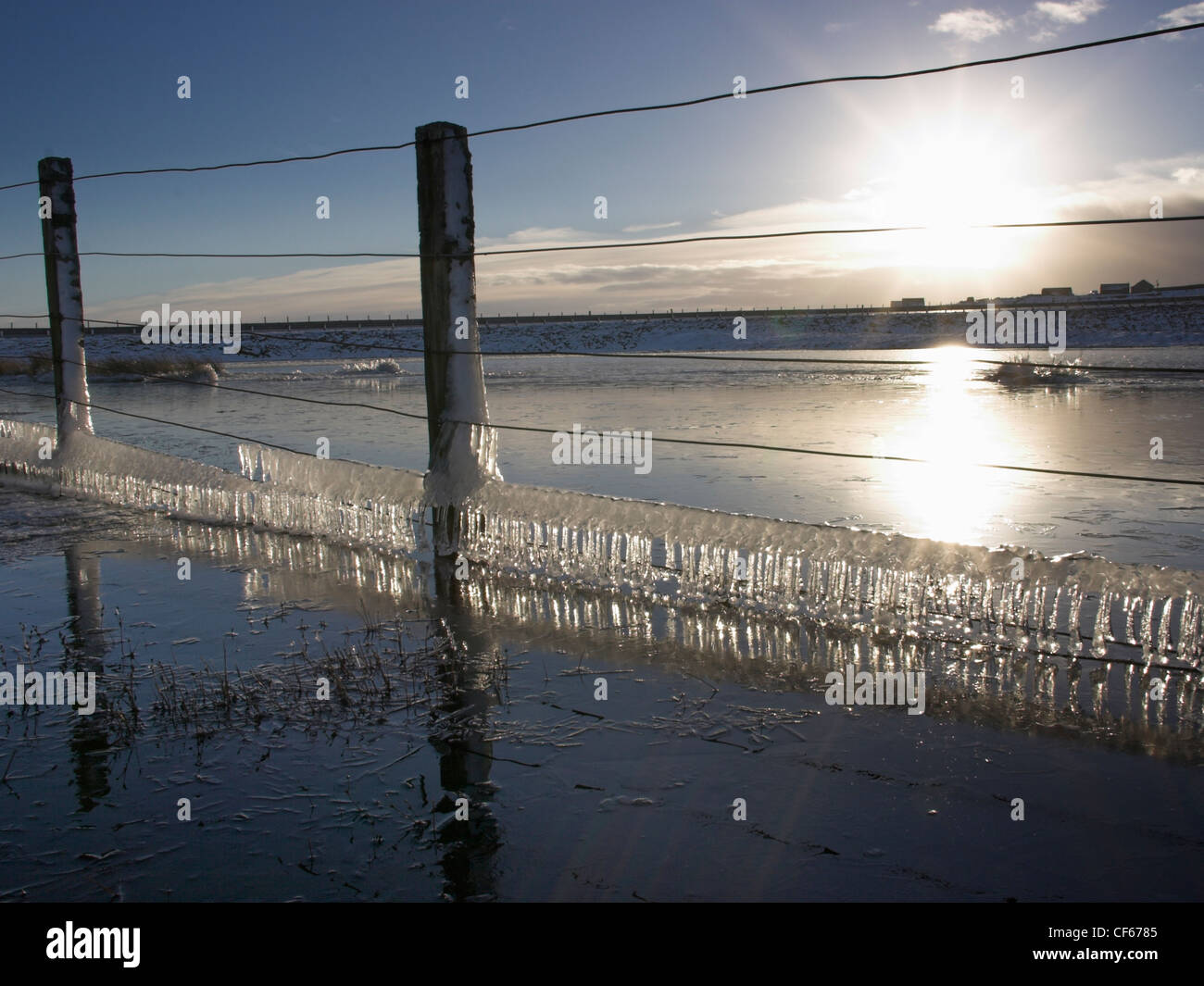 Ghiaccioli in un recinto a Sandy Loch sulle Isole Shetland. Foto Stock