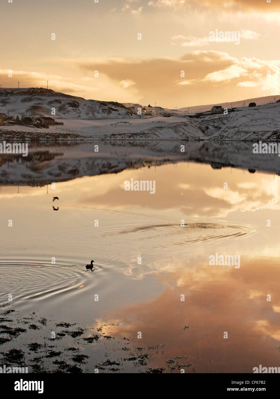 Snowy tramonto a Voe su Shetland. Foto Stock