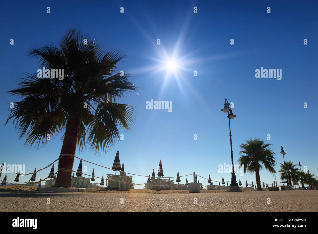 Percorso concreto con le palme sulla spiaggia ripiegato con ombrelloni e lettini sole bruciante e cielo senza nuvole Foto Stock