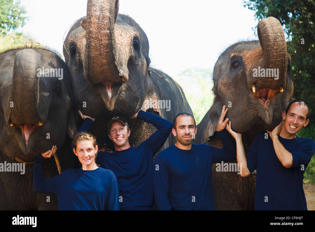 Quattro turisti posano con elefanti in Thailandia; Chiang Mai Thailandia Foto Stock