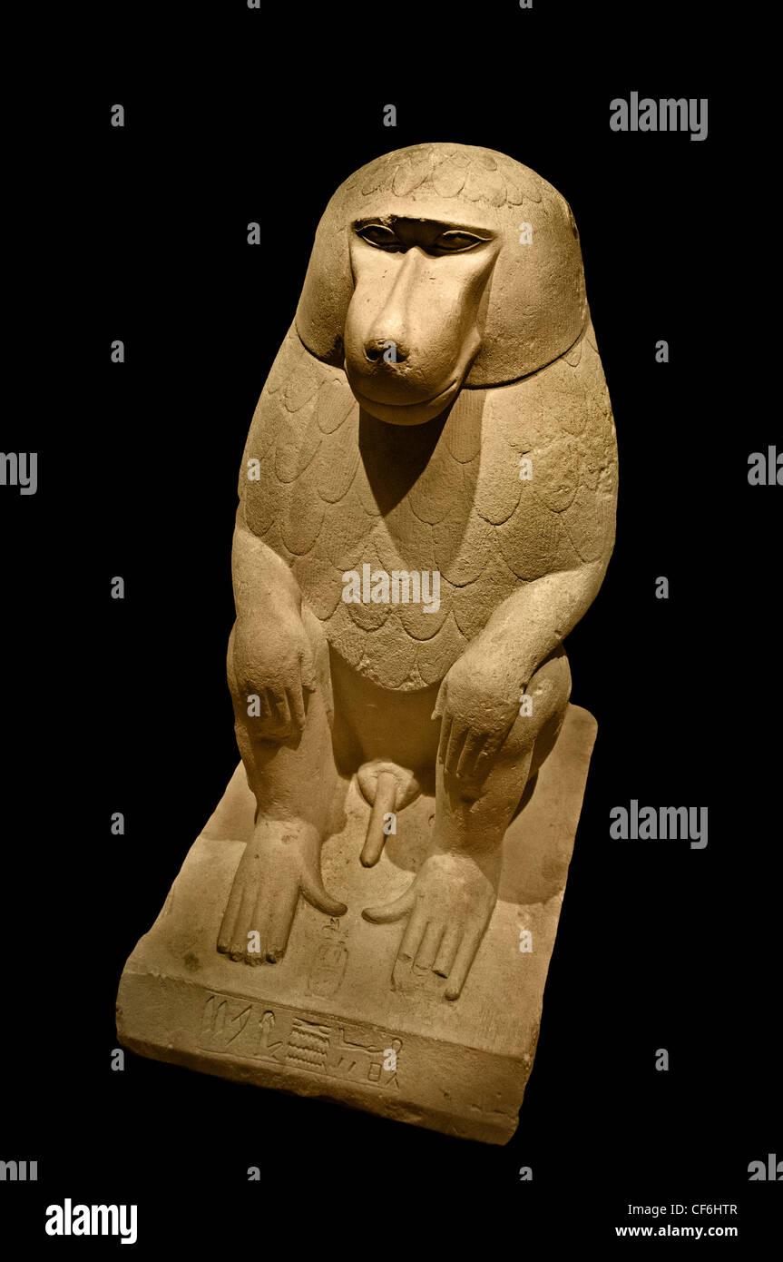 Iscrizione di babbuino del Re Snefru alto e del Basso Egitto, padre di Cheope 2600 BC 4 dynasty 4 BC egiziano Egitto Foto Stock
