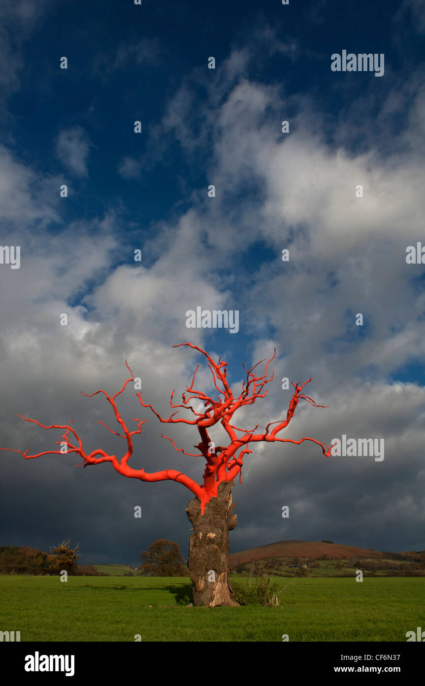 Lydham legato ad albero. Avvolto ad albero rosso per artista Phillipa Lawrence lungo il confine di Inghilterra e Galles. Foto Stock