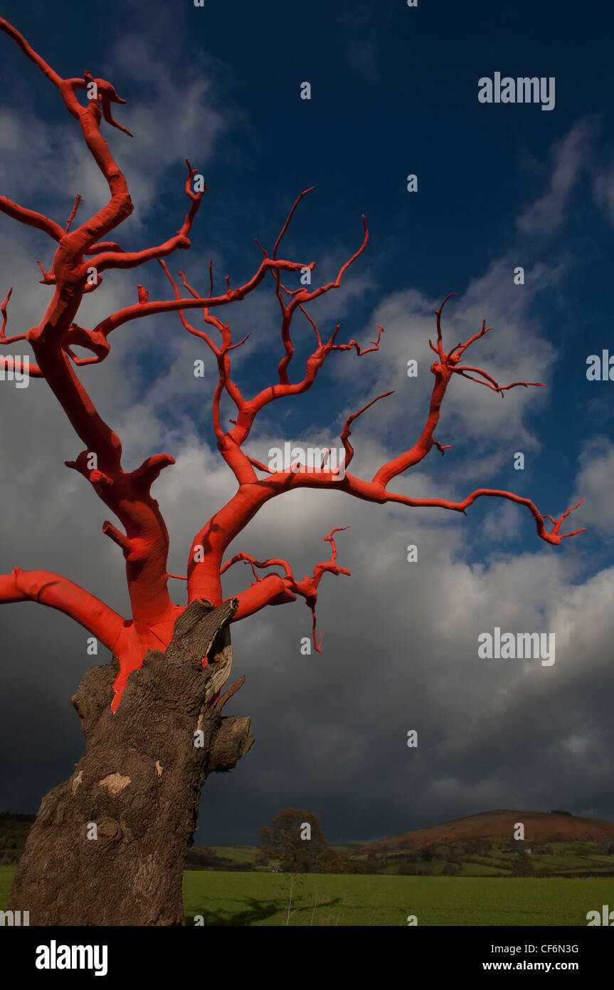 Lydham legato ad albero. Avvolto ad albero rosso per artista Phillipa Lawrence lungo il confine di Inghilterra e Galles. Foto Stock