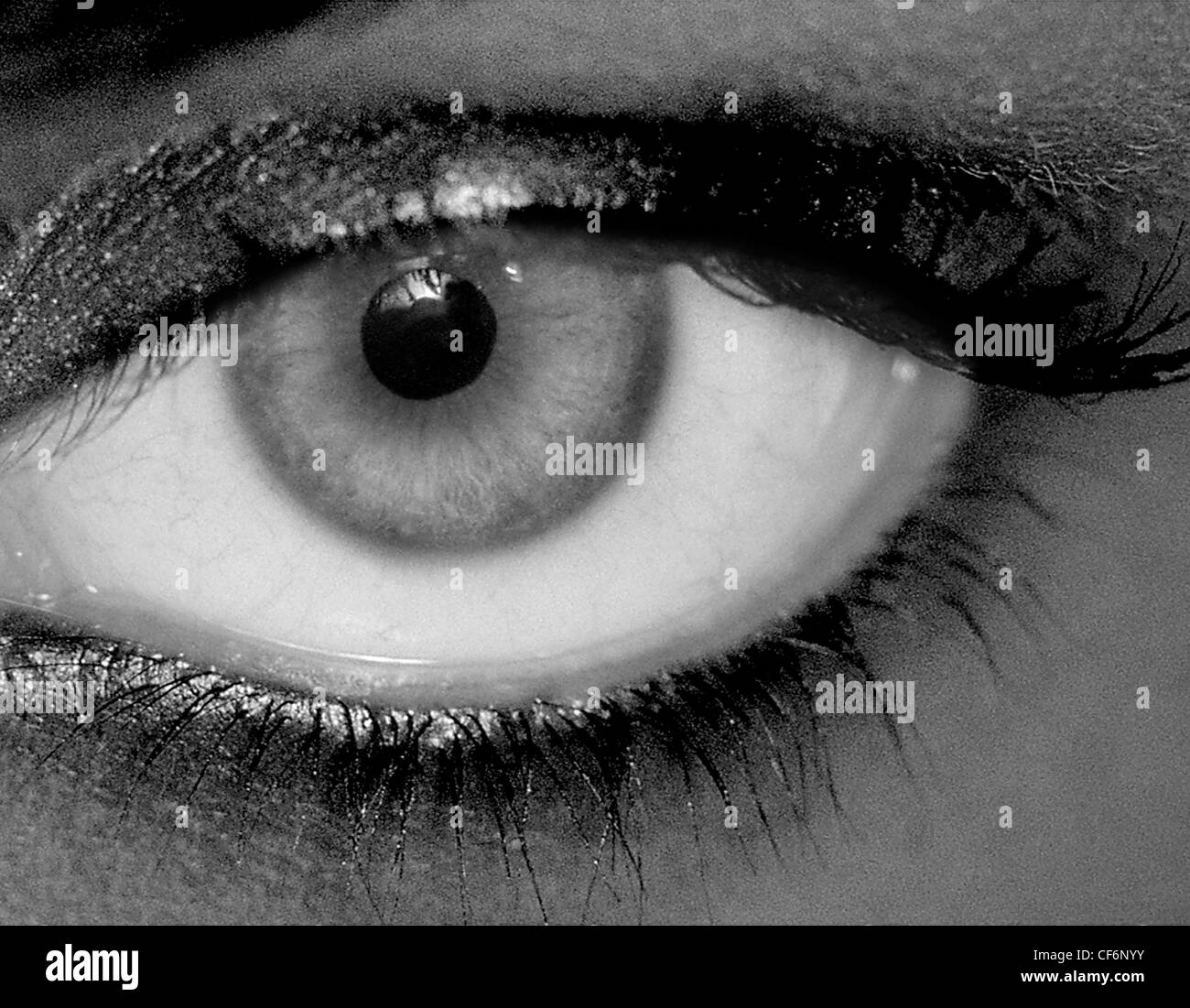 Occhio, Femmina, close-up, drammatico, in bianco e nero fotografia orizzontale Foto Stock