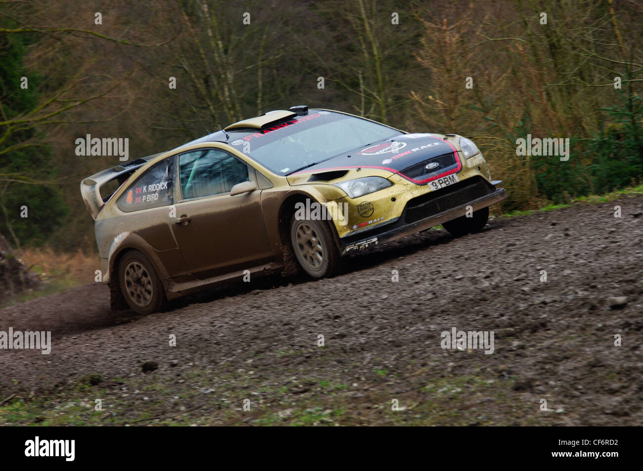 Ford Focus Rally Car Foto Stock
