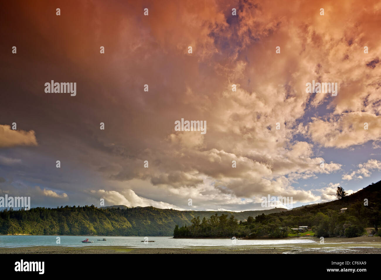 Tramonto in Double Bay nei pressi di Hopewell in Kenepuru Sound, Distretto di Marlborough, South Island, in Nuova Zelanda. Foto Stock