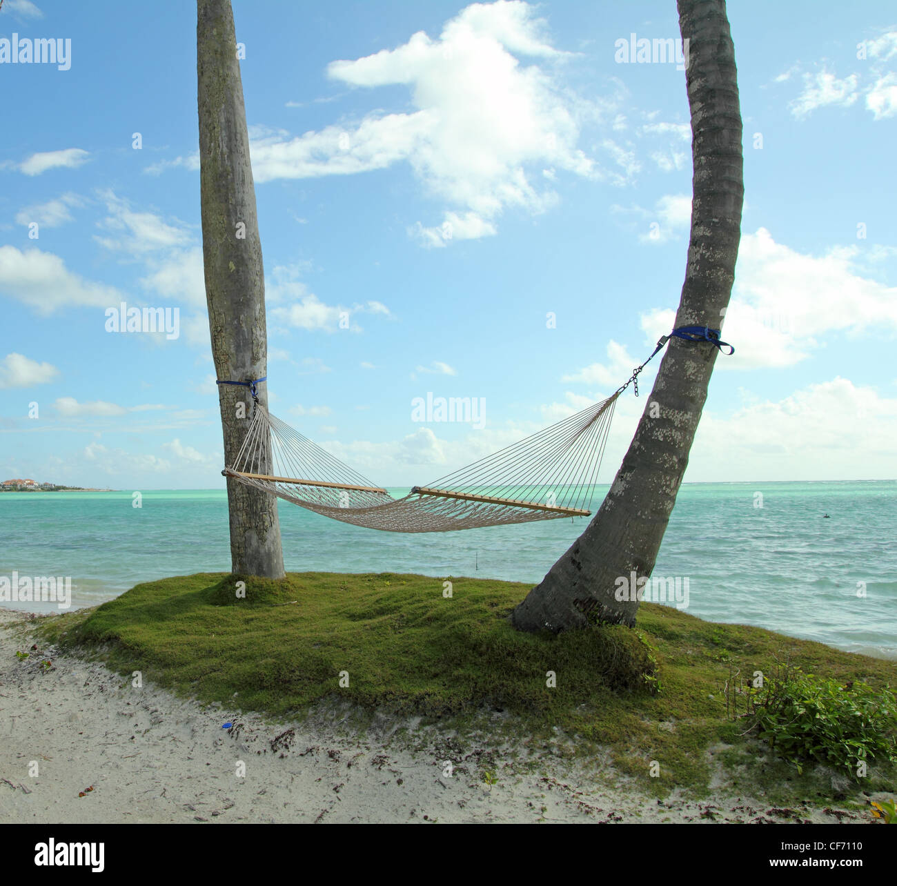 hammock della spiaggia Foto Stock