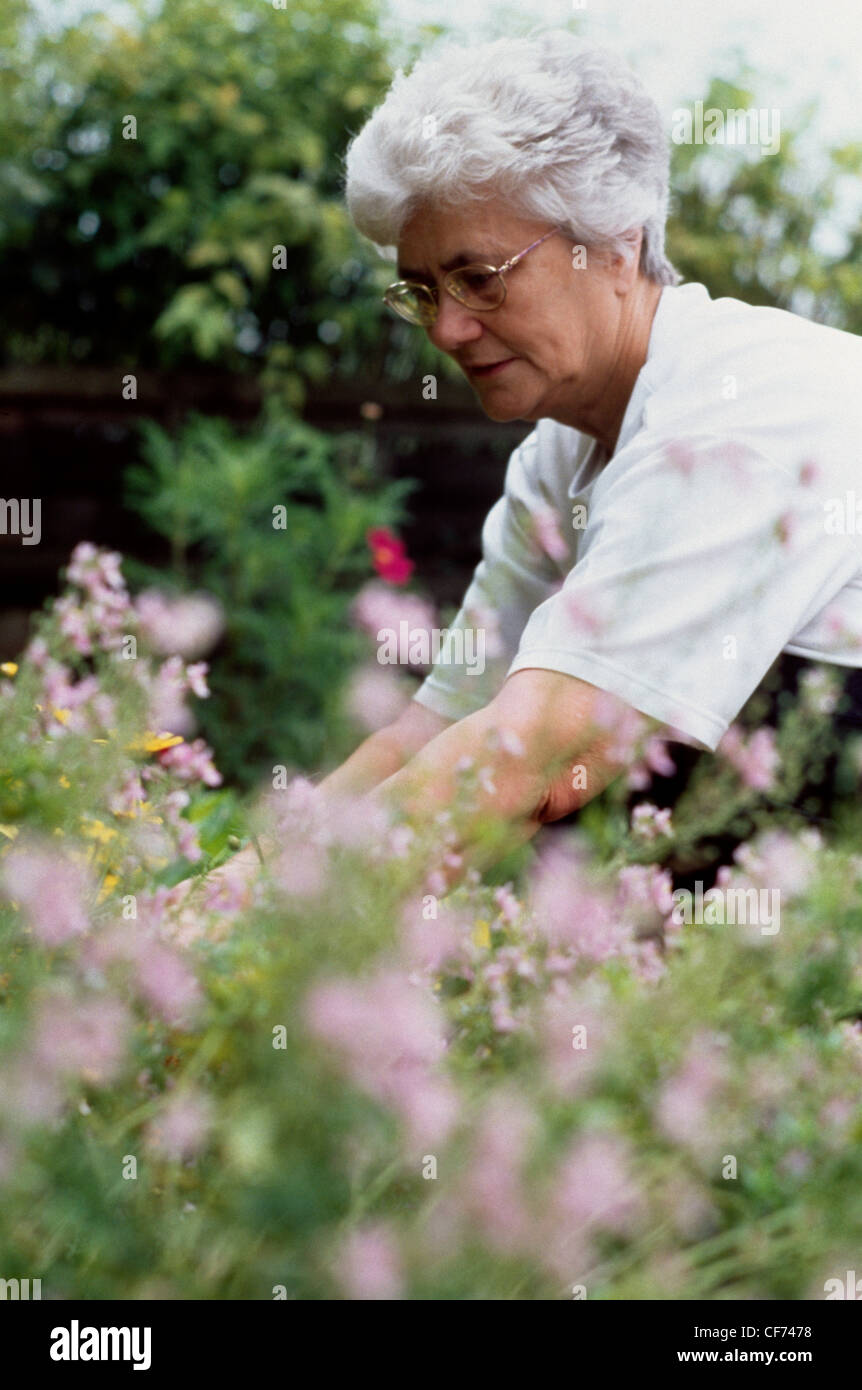 Una donna che indossa un bianco di t-shirt, pantaloni navy, sorridente in ginocchio da un letto di fiori, picking morti teste fuori alcuni fiori Foto Stock