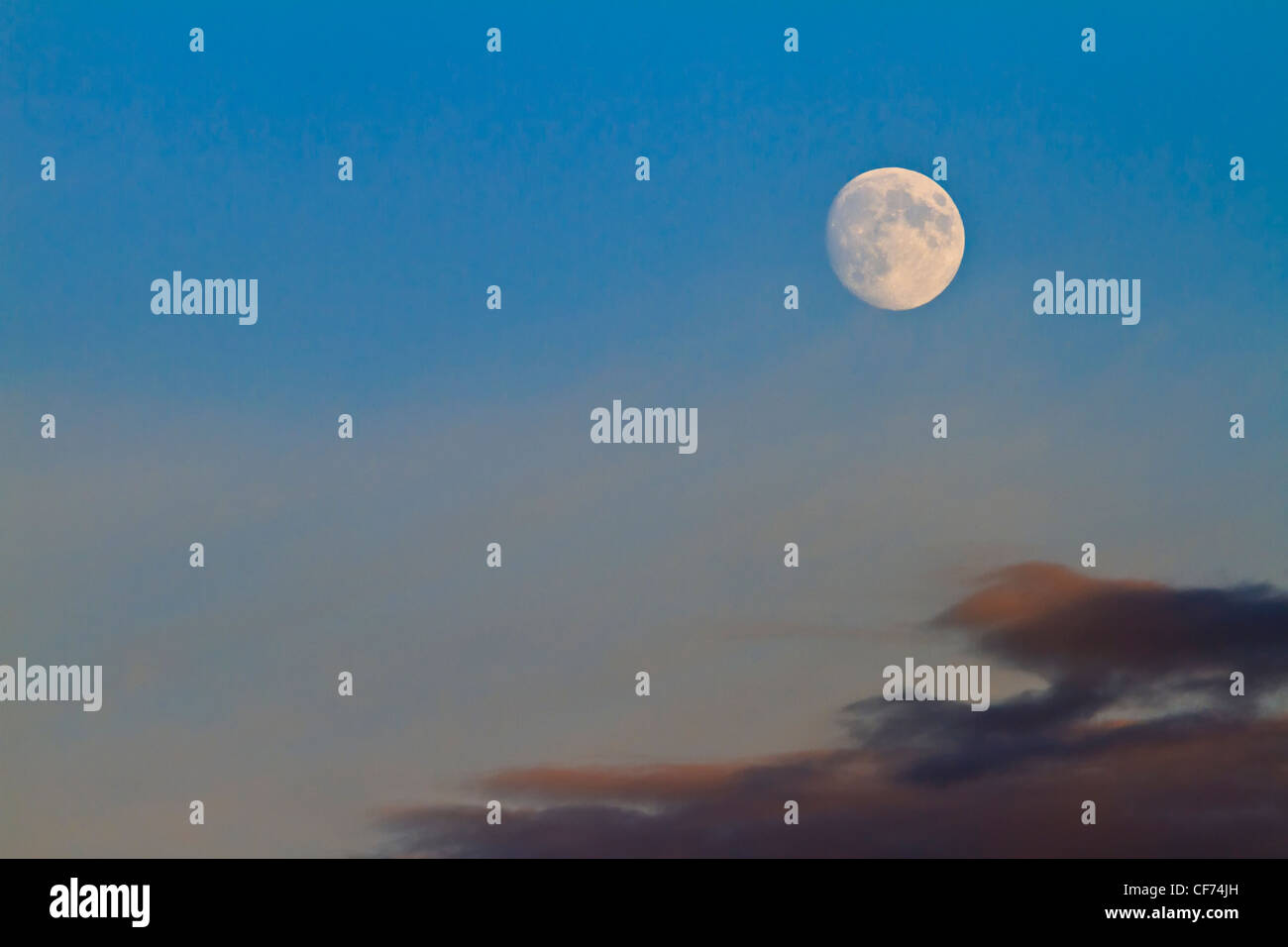 Luna piena sopra Johnstone Strait, Isola di Vancouver, British Columbia, Canada. Foto Stock