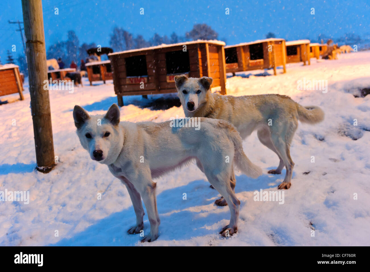 Tromso Inverno tempo Foto Stock