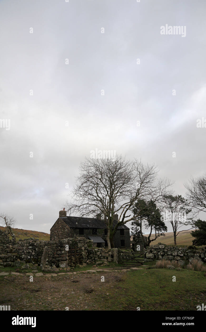 Ditsworthy Warren House su Dartmoor una posizione per la casa colonica set del film di Stephen Spielberg il film War Horse. Foto Stock