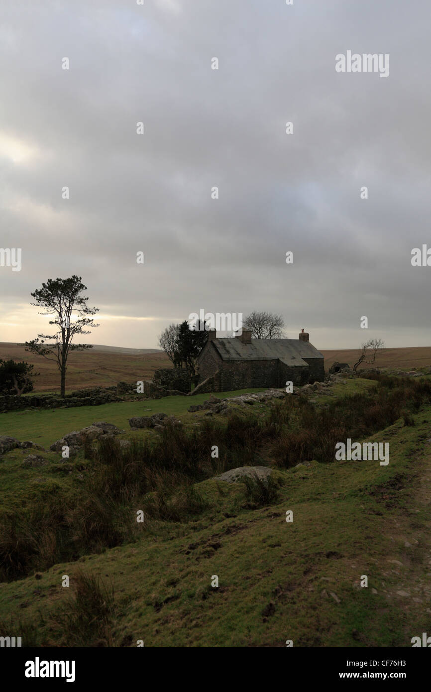 Ditsworthy Warren House su Dartmoor una posizione per la casa colonica set del film di Stephen Spielberg il film War Horse. Foto Stock