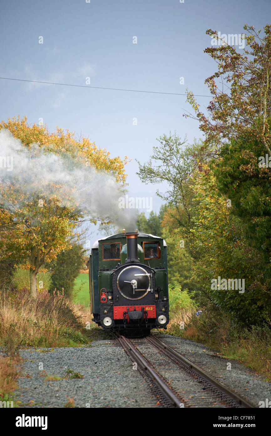 Bolina vapore treno su Welshpool & Llanfair ferrovia a scartamento ridotto, Welshpool, il Galles Centrale Foto Stock